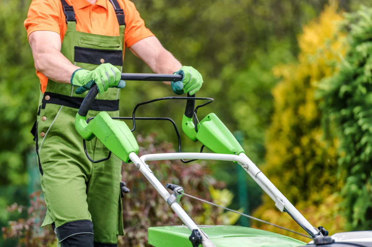 Lawn mowing and summer garden care