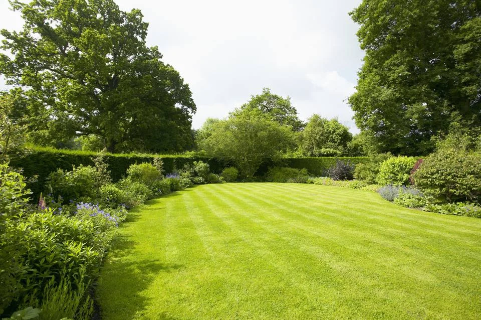 Lush lawn surrounded by planted garden borders