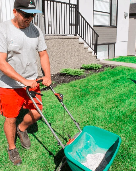Rainfall gardener caring for a lawn